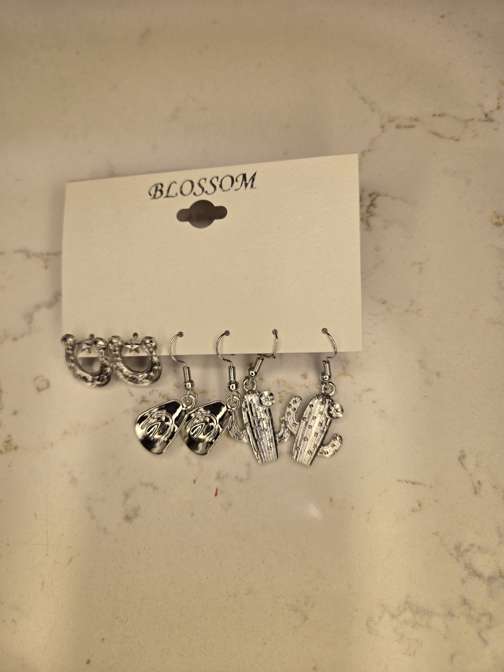 Western Charm Earring Set (Stainless Steel) - Picture 2 of 3